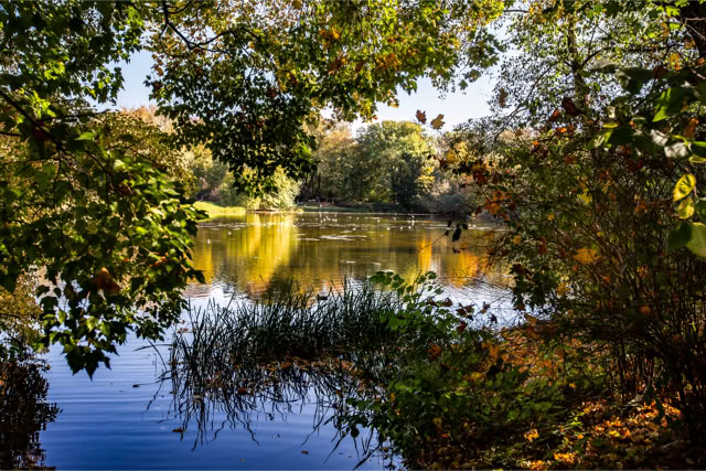 Park Skaryszewski, Warszawa. Fotoreportaż - Krajobrazy, przyroda na świecie.