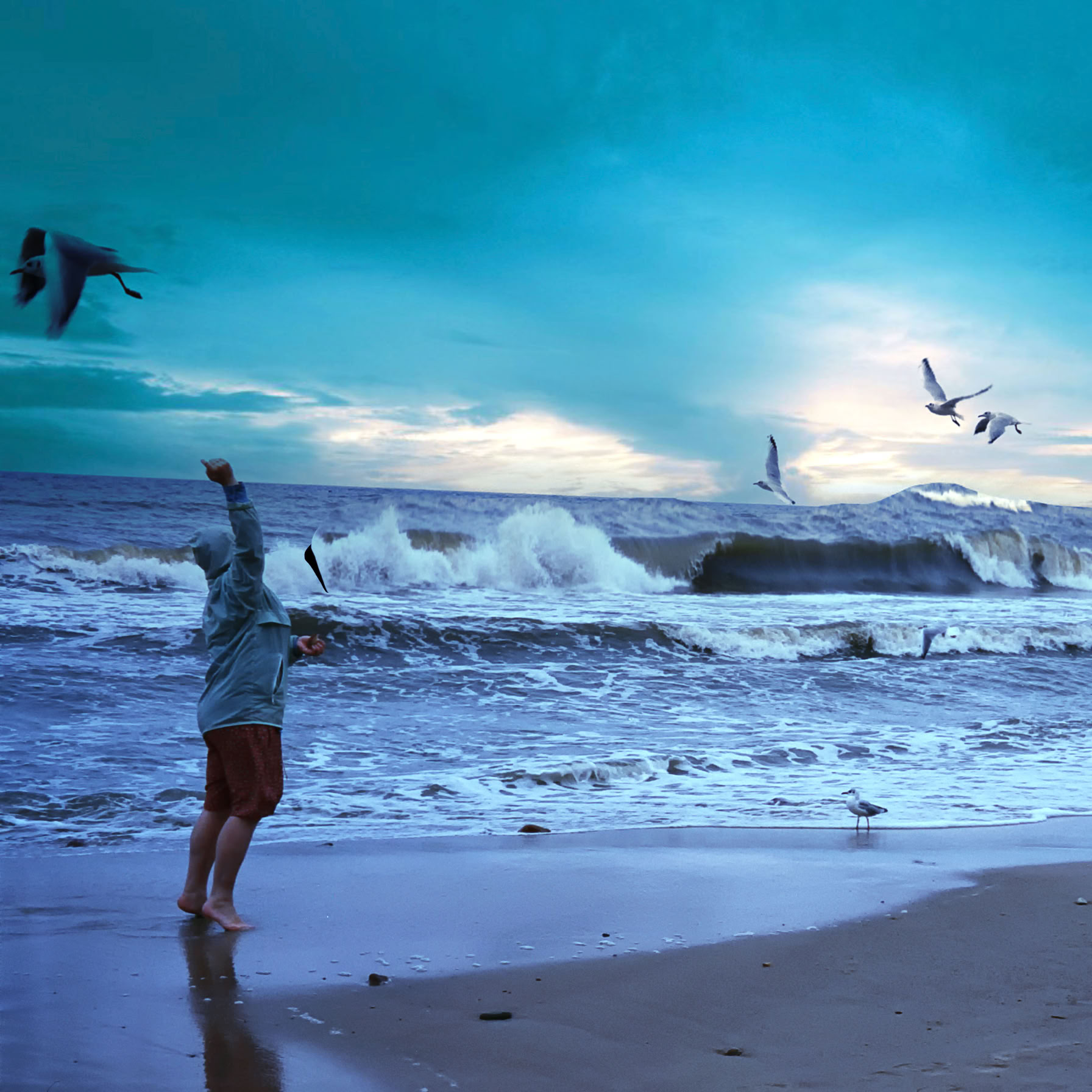 Młoda kobieta karmi mewy na plaży o wschodzie słońca, przy dość sporym wietrze.