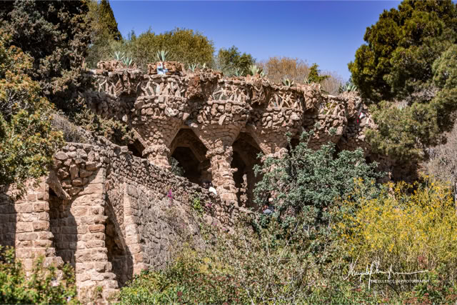 Park w Hiszpanii, Barcelona. Fotoreportaż - Krajobrazy, przyroda na świecie.