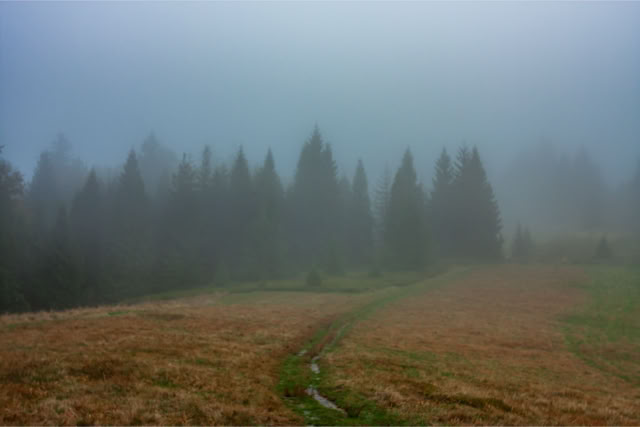 Bieszczady jesienią. Fotoreportaż - Krajobrazy, przyroda na świecie.