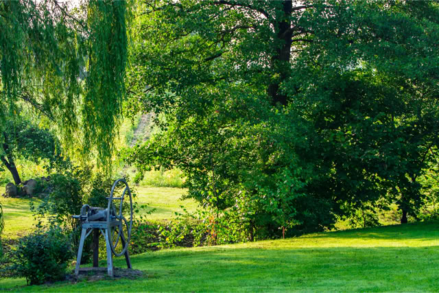 Fotoreportaż - Krajobrazy, przyroda na świecie. Oark w Londynie. Hyde Park.