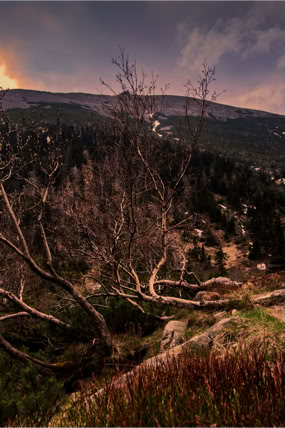 Fotoreportaż - Krajobrazy, przyroda na świecie. Widok na Karkonosze.
